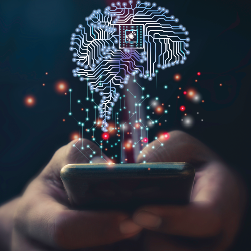 Social and Behavioral Sciences