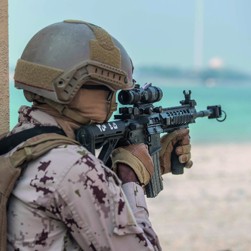 Interagency Security Operations